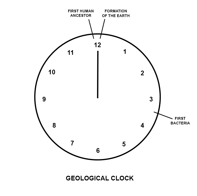 NOON Geological Clock